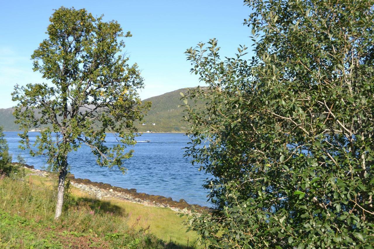 Kvaloya Holiday home Futrikelv